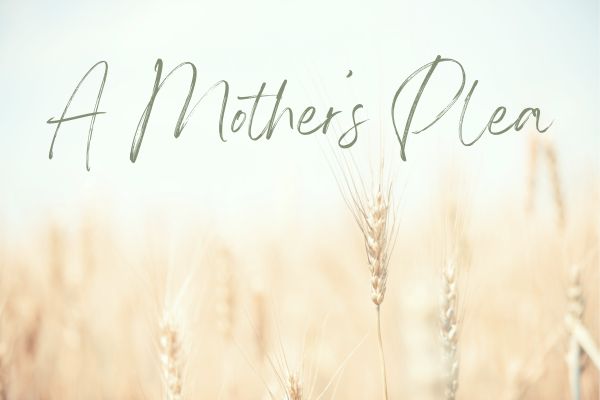 A Mother’s Plea